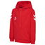 hmlGO 2.0 CHEVRON ZIP HOODIE KIDS truered