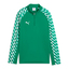 teamLIGA26 Training 1/4 Zip Top Jr sportgreenpumawhitesportgreen