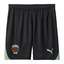 Füchse Berlin Short 2025/2026 pumablackfreshmint