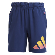 3Bar shorts-2408420