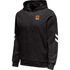 HMLLGC LIAM HOODIE-1050897