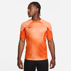 Dri-FIT Gardien 4 Goalkeeper Men's Short-Sleeve Jersey-2112810