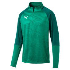 CUP Training 1/4 Zip T Core-815828