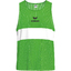 Training bib green