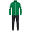 Trainingsanzug Polyester Power sportgruen