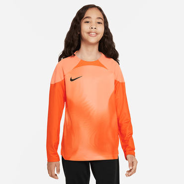 Dri-FIT ADV Gardien 4 Goalkeeper Big Kids' Long-Sleeve Jersey