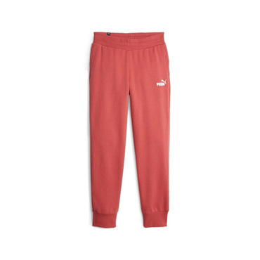 ESS Sweatpants FL cl (s)