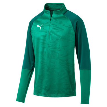 CUP Training 1/4 Zip T Core