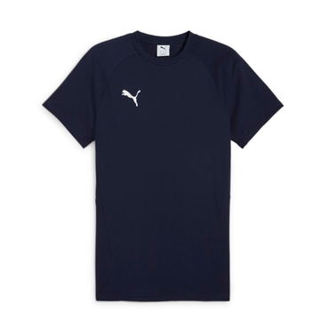 teamEVOSTRIPE Tee