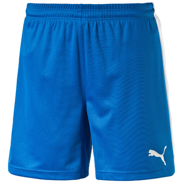 PITCH SHORTS WITHINNERBRIEF