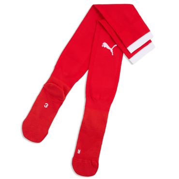 teamFINAL26 Socks