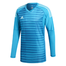 ADIPRO 18 GK JERSEY LONG SLEEVE-583956