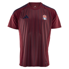 HSV Hamburg WarmUp Shirt 25/26-2410031