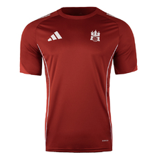 HSV Hamburg Trainingsshirt 25/26 Kids-2409953