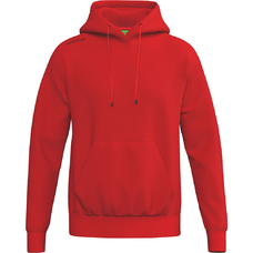 TS Hoody-2434400