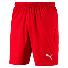 LIGA SHORTS CORE