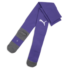teamLIGA26 Socks Core-2444448