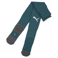 teamLIGA26 Socks Core-2444530